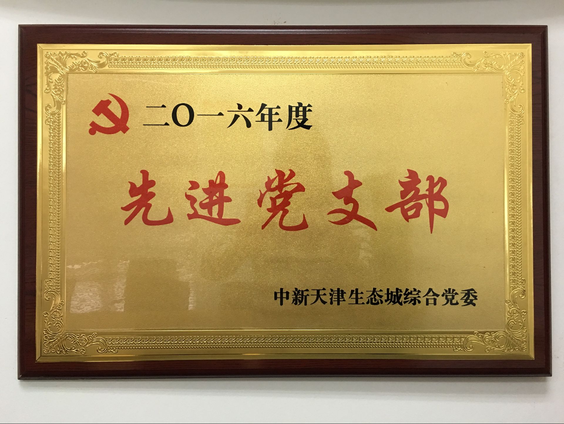 2016先進(jìn)黨支部.png