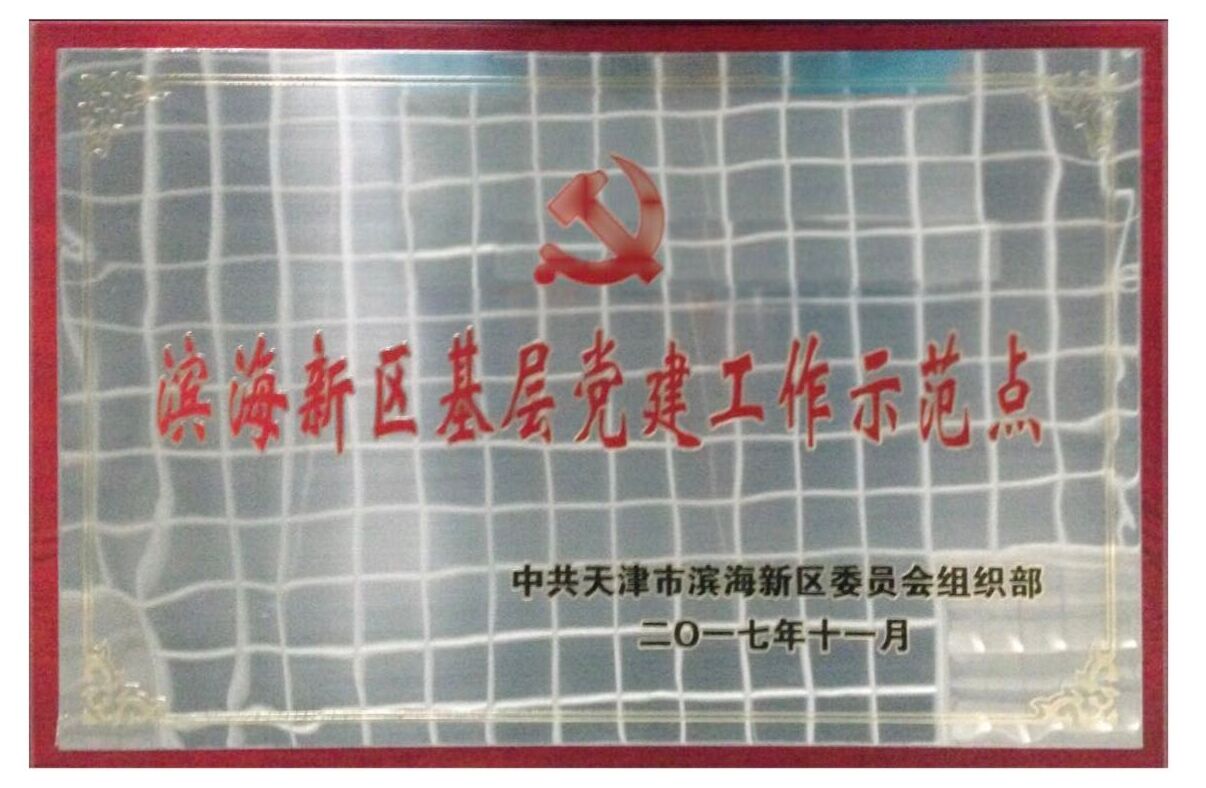 2017年11月濱海新區(qū)基層黨建工作示范點(diǎn)
